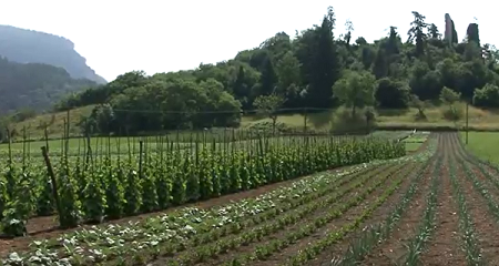 Foto da video PAT su agricoltura biologica